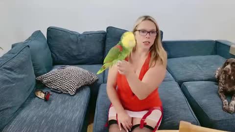 WifeNheels online show from May 2026 06:46:02 PM