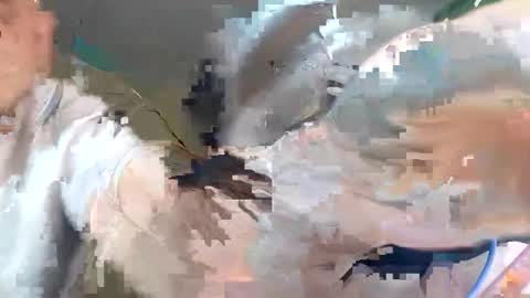 Snapshot of wikibitch chatting on October 2025 09:25:02 PM WikiBitch online show from October 2025 09:25:02 PM