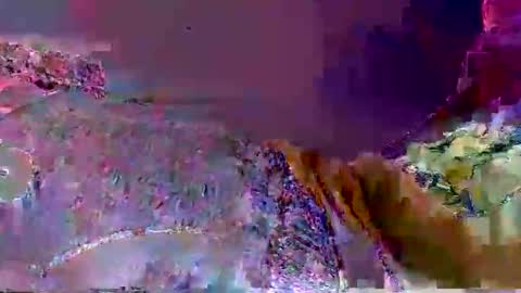 wild lemont online show from September 2025 12:21:01 PM