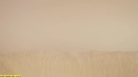 wild_schoolgirl online show from January 2025 09:45:01 PM