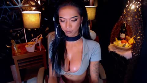 wildara online show from January 2025 01:20:01 PM