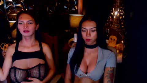 wildara online show from February 2025 01:22:01 PM