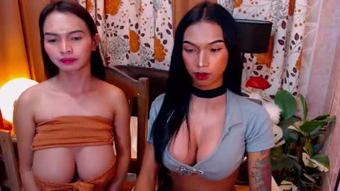 wildara online show from February 2025 02:26:01 AM