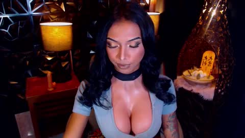 wildara online show from February 2025 10:27:02 AM