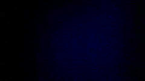 camille online show from February 2025 09:16:01 AM