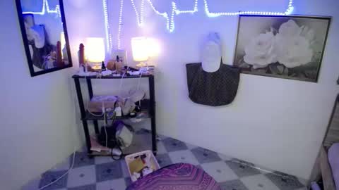 Snapshot of wildflowermitch chatting on December 2025 07:07:02 PM Mitch online show from December 2025 07:07:02 PM