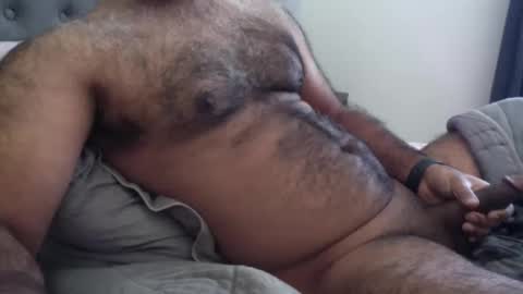 Snapshot of wildhungry chatting on December 2025 06:57:02 PM wildhungry online show from December 2025 06:57:02 PM