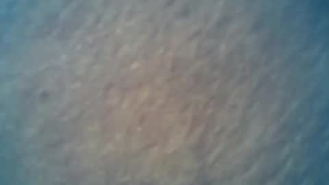 wildman6 online show from February 2025 09:26:02 PM