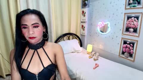 wildnika online show from September 2025 01:00:01 AM