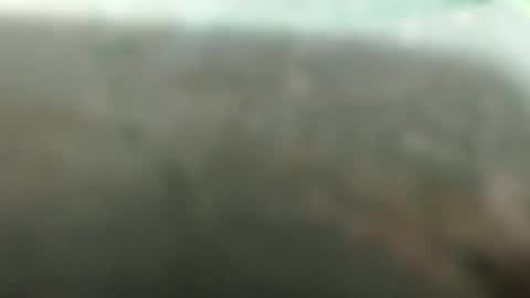 wildsexpussy69 online show from December 2025 04:03:02 PM