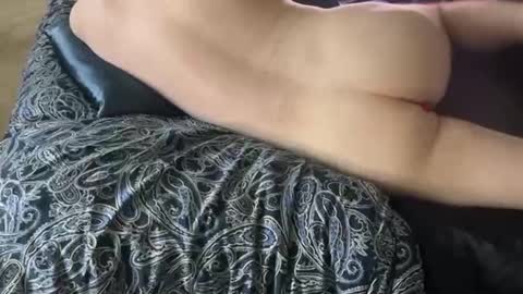 Snapshot of wildtravis chatting on February 2026 04:48:01 PM wildtravis online show from February 2026 04:48:01 PM