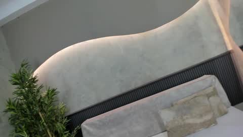 Ms Willow online show from January 2025 11:37:02 AM