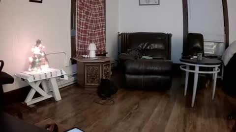 Snapshot of willydogg83 chatting on December 2025 06:07:02 AM willydogg83 online show from December 2025 06:07:02 AM