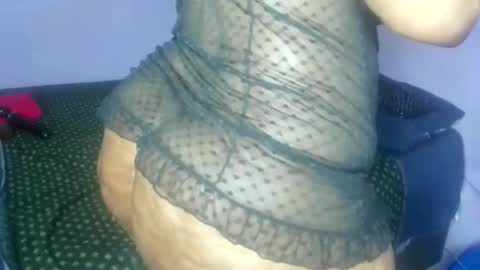 wilmaassylum online show from November 2025 04:22:02 AM