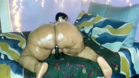 wilmaassylum online show from January 2026 05:34:02 AM