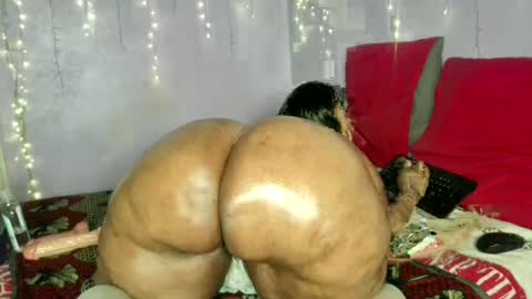 wilmaassylum online show from July 2026 05:57:01 AM