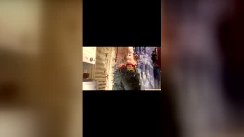 Will online show from November 2025 07:52:02 AM