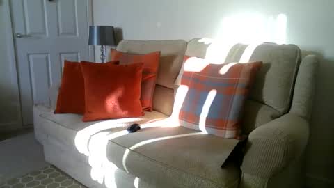 windy19391a online show from December 2025 10:53:01 AM