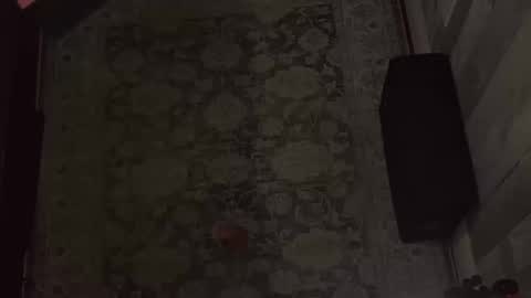 Snapshot of wipwips chatting on February 2026 06:40:01 AM KiwiFruit89 online show from February 2026 06:40:01 AM