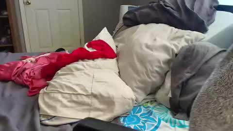 witchbitchmommy online show from March 2026 06:11:02 PM