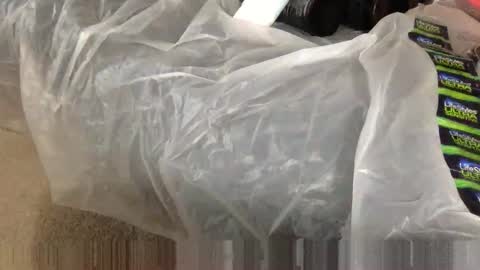 Sultan Blaze online show from February 2025 02:48:02 PM