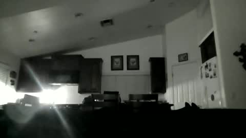 Ryan online show from April 2026 04:48:01 AM