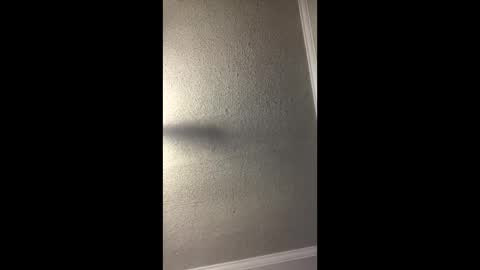 Snapshot of woodpipe69 chatting on December 2024 03:01:01 PM Woodpipe69 online show from December 2024 03:01:01 PM