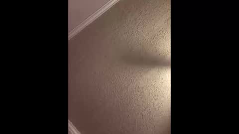 Snapshot of woodpipe69 chatting on October 2025 02:47:01 PM Woodpipe69 online show from October 2025 02:47:01 PM