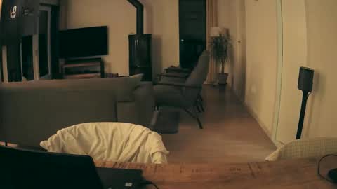 woodwurm and Snoeske online show from January 2026 05:56:01 AM