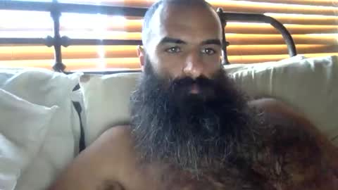 woof_wolf37 online show from February 2026 03:37:02 PM