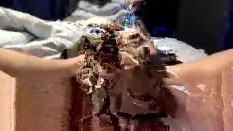 Snapshot of workplace_proximity_associate chatting on September 2025 12:10:01 PM workplace_proximity_associate online show from September 2025 12:10:01 PM