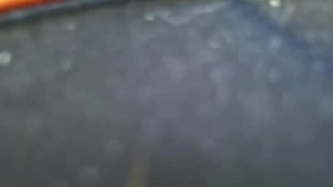 wrangleat0r online show from January 2025 11:50:01 PM