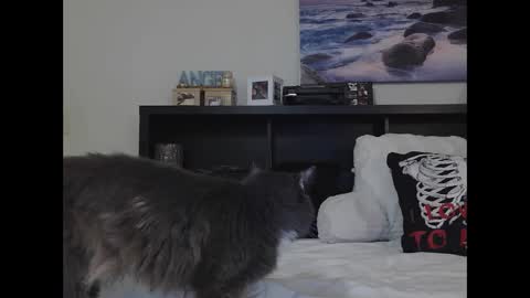 Crystal Lake online show from September 2025 10:19:02 AM