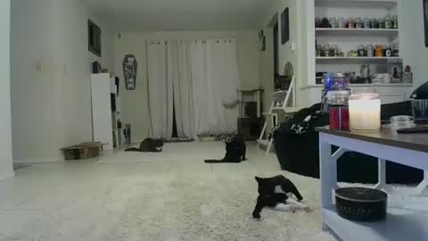 Crystal Lake online show from October 2025 07:42:02 AM