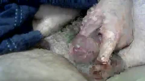 Charles online show from March 2025 06:53:02 AM