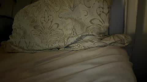 Snapshot of x_dreamgirl_x chatting on November 2025 04:59:02 AM Mariah online show from November 2025 04:59:02 AM