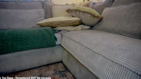 Lily online show from March 2026 04:46:01 PM