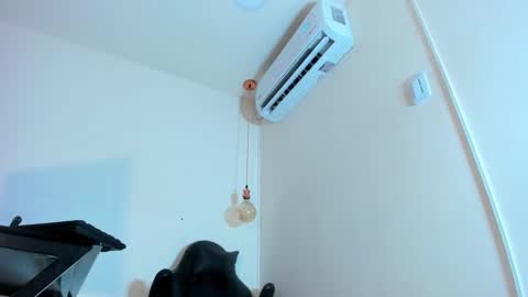 Snapshot of xgenesis_miller_ chatting on January 2025 11:55:02 PM Genesis online show from January 2025 11:55:02 PM