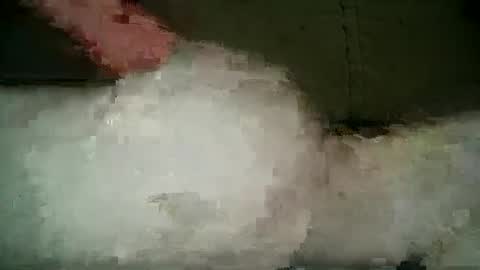 Wendy online show from March 2025 09:59:02 PM