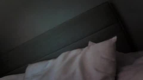 Snapshot of xobadlandsox chatting on October 2025 12:06:01 PM BADLANDS online show from October 2025 12:06:01 PM