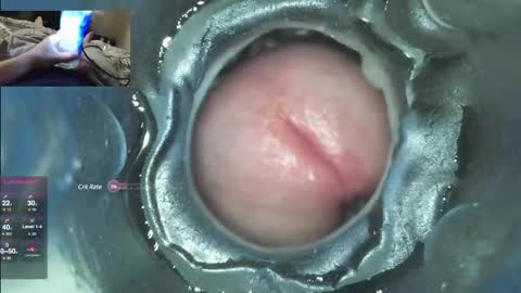 xoxowtf online show from December 2024 04:53:01 AM