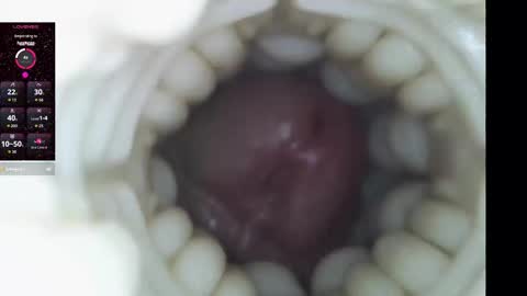 xoxowtf online show from February 2026 11:20:01 PM