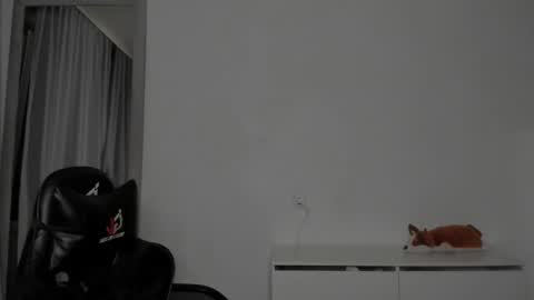 raul online show from February 2026 12:19:02 AM