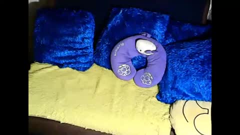 Snapshot of xxloveheart chatting on March 2025 07:05:02 AM xxloveheart online show from March 2025 07:05:02 AM