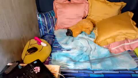 Snapshot of xxloveheart chatting on September 2025 06:29:02 AM xxloveheart online show from September 2025 06:29:02 AM