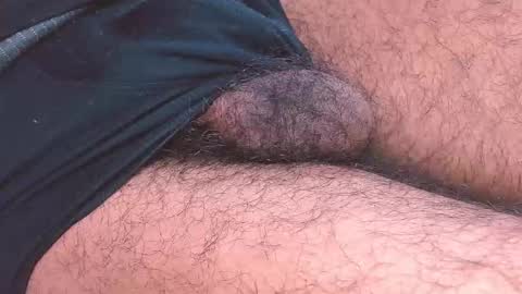 Prince online show from January 2026 04:53:02 PM