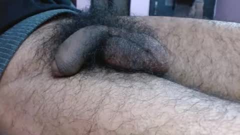 Prince online show from January 2026 09:05:02 PM