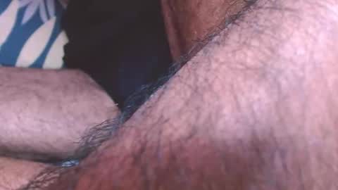 Prince online show from February 2026 06:59:02 PM