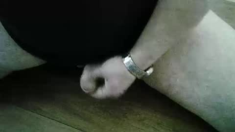 xyjjmop online show from March 2026 06:47:01 AM