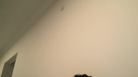 Dick  Ass online show from February 2025 06:55:02 PM